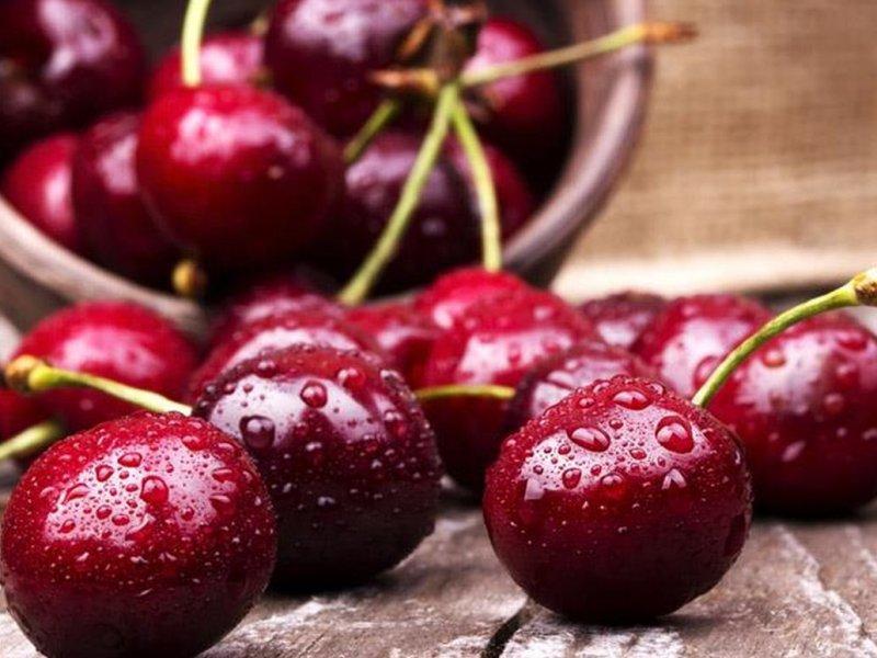 Вишня купить саженцы из питомника в Отрадном